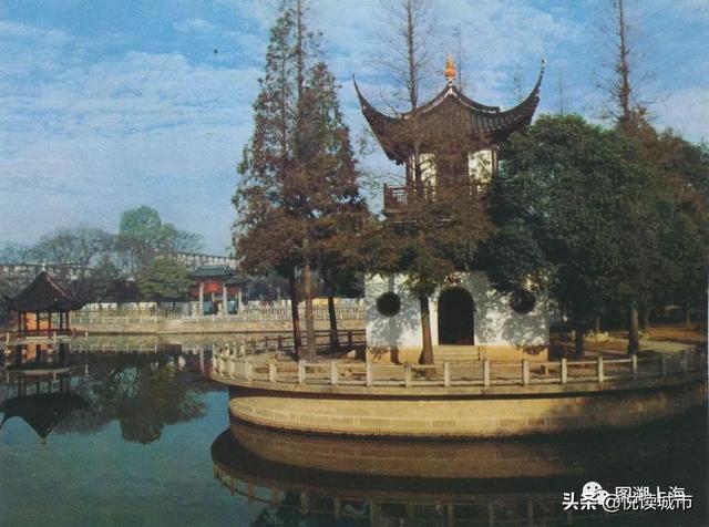 上海嘉定叶池图片