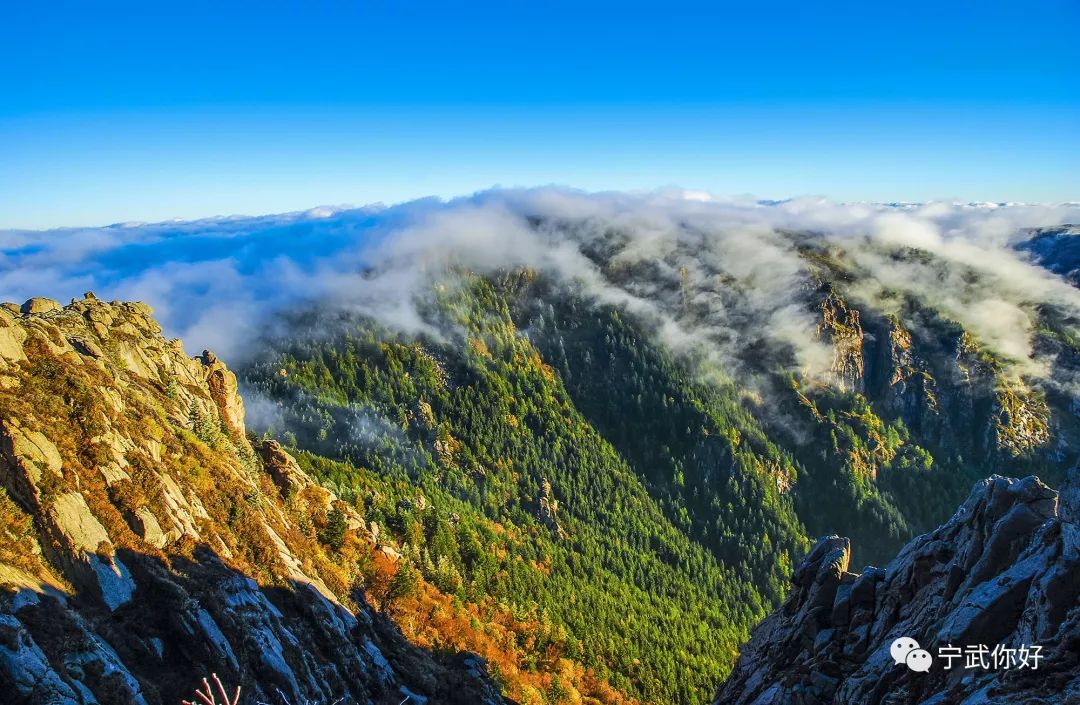 宁武芦芽山现壮观云海如梦如幻堪称人间美景