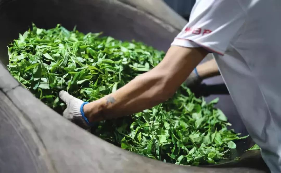 茶叶最忌讳的十种味道