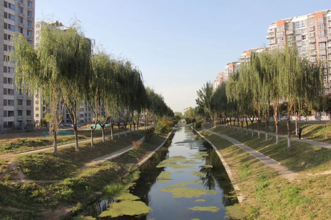 "北青社区报记者昨日获悉,旺泉街道联合多部门,在望泉西里二区东侧