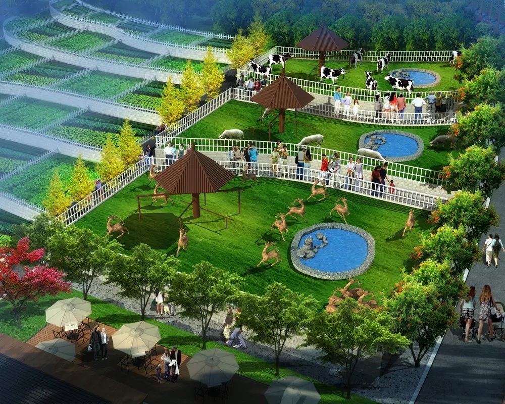 3万就可拥有崂山最牛农场 10年的健康生活从此开始_格林