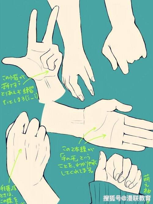 「手部临摹绘画素材」