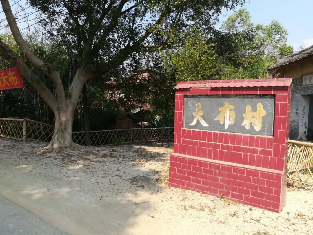 大布村坚果每年10场节庆活动助推乡村振兴
