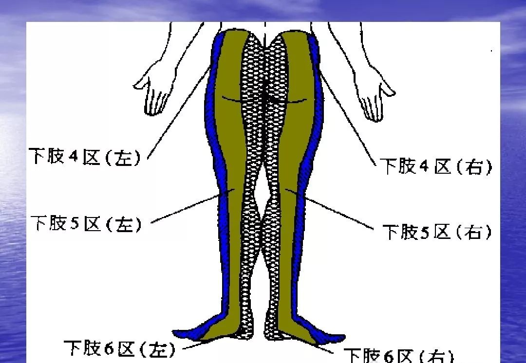 腕踝针止痛原理图片