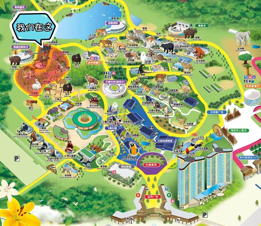 太湖龙之梦动物世界袋鼠家族集合啦快来认识一下