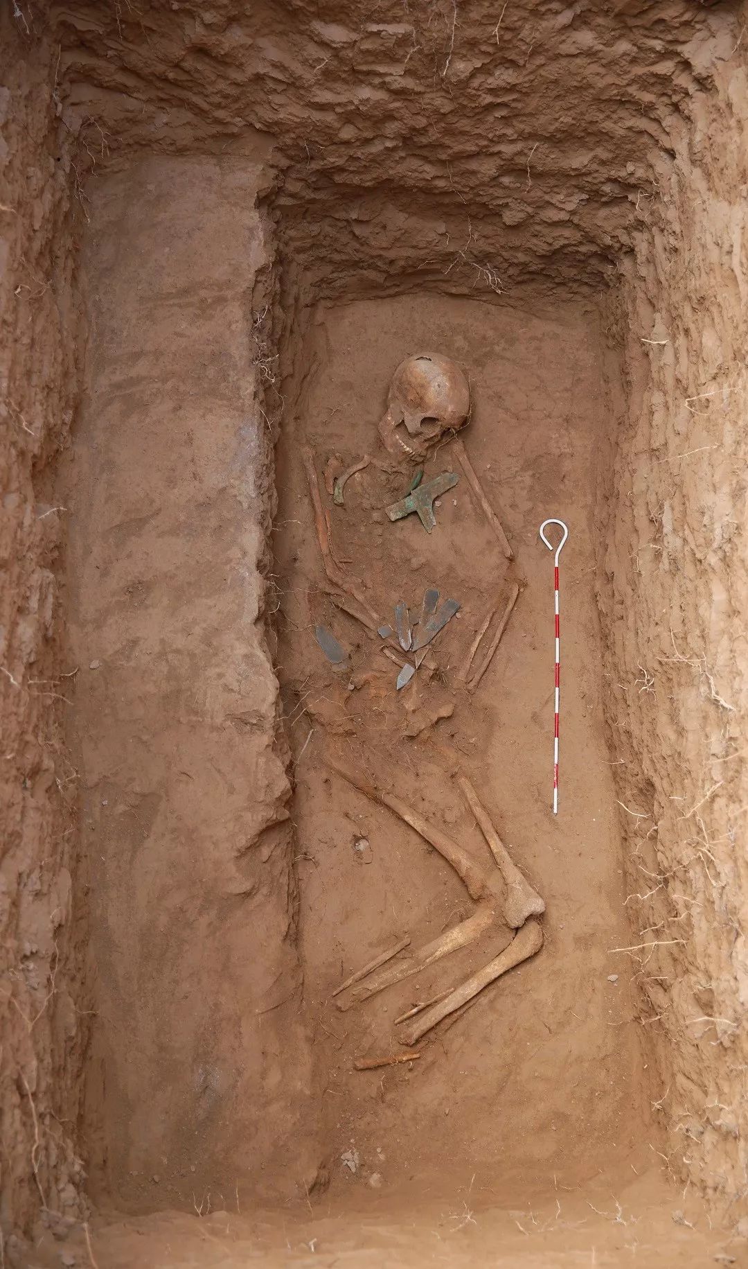 当甘肃宁县石家墓地的神秘面纱被揭开……_墓葬