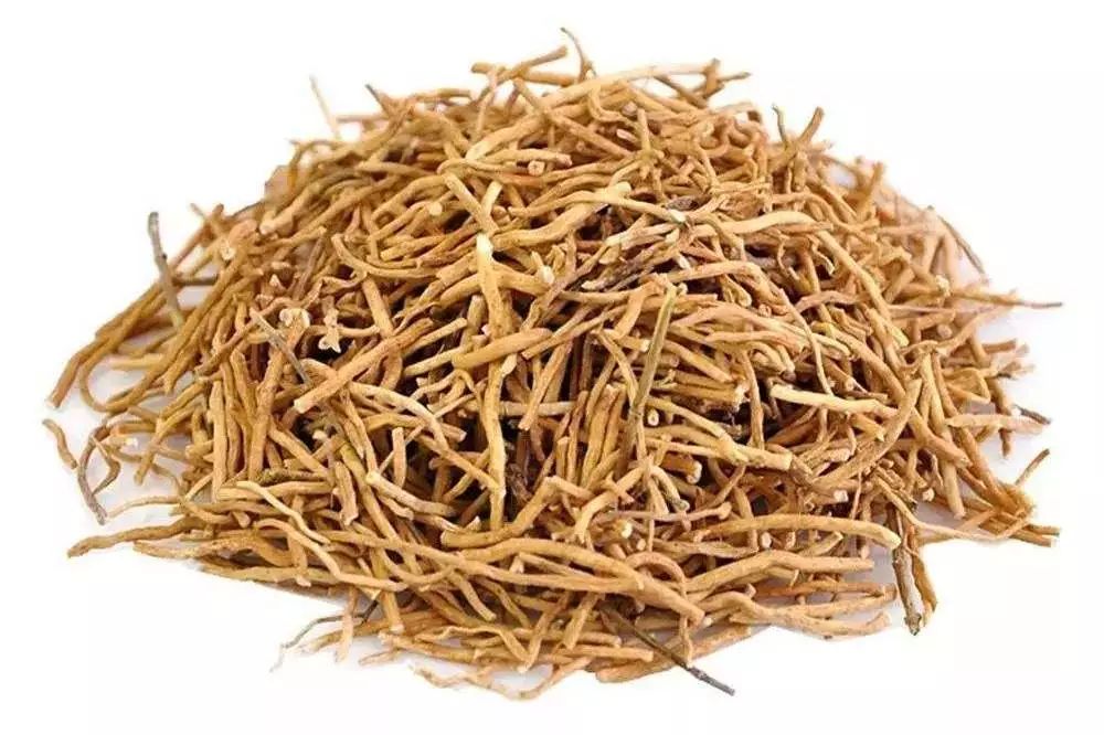 徐长卿一性状鉴别细辛为马兜铃科植物北细,汉城细辛或华细辛的干燥根