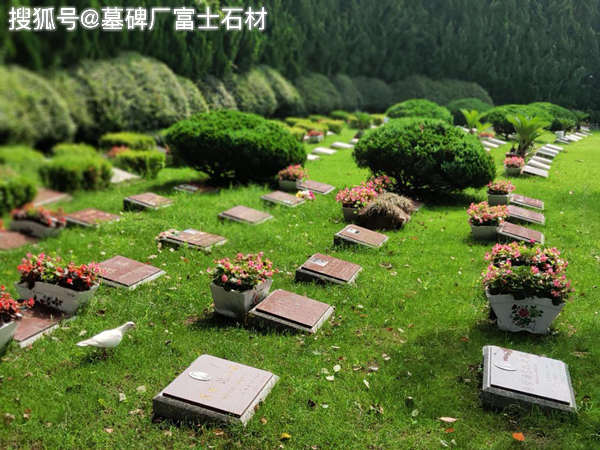 永安陵公墓：一座历史的长廊