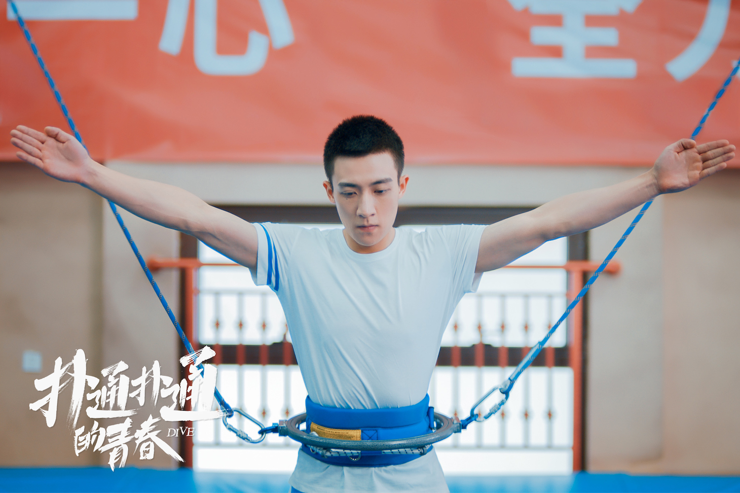 谷嘉诚扑通扑通的青春开播看跳水少年筑造热血青春梦