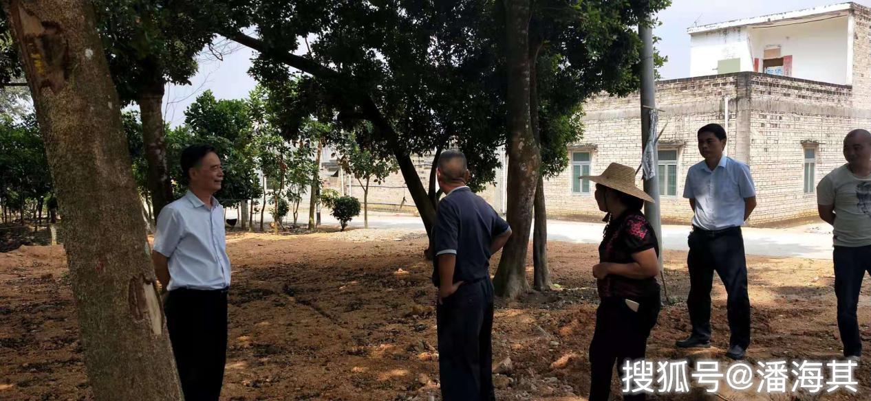 遂溪县领导到界炮镇调研指导"三清三拆三整治"工作_吴刚