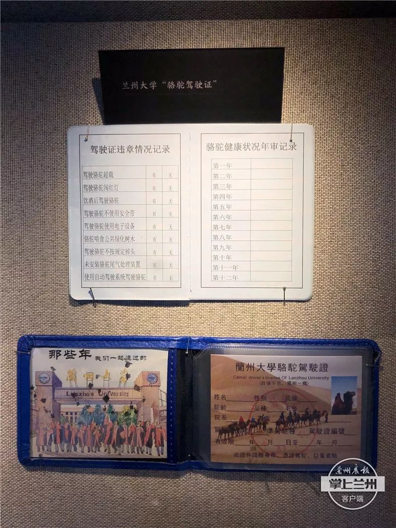 兰州大学"骆驼驾驶证"兰大致力于把博物馆打造成为学生的第二课堂