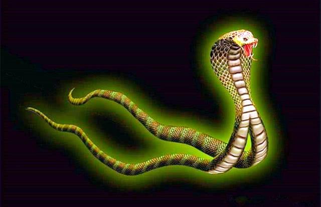 叫"肥遗"这个名字的有三种怪兽,其中一个就是一条一首双身蛇