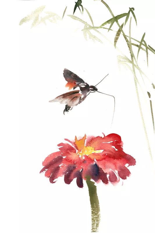 "好了,好了,不就是只马蜂嘛,你不动,它就不会招惹你,我们继续上课.