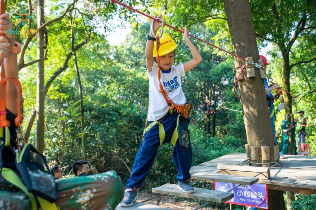 丛林飞跃|承载见证,去森林之巅挑战勇敢的自我