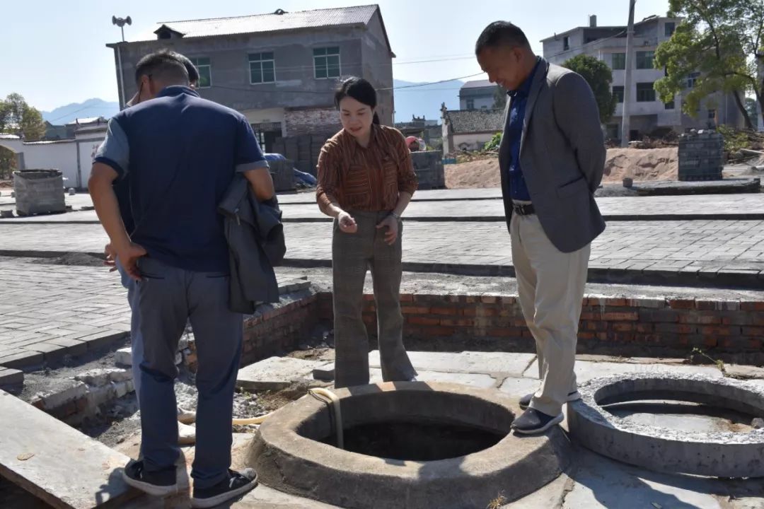 高安荷岭镇加快新农村建设秀美乡村显雏形