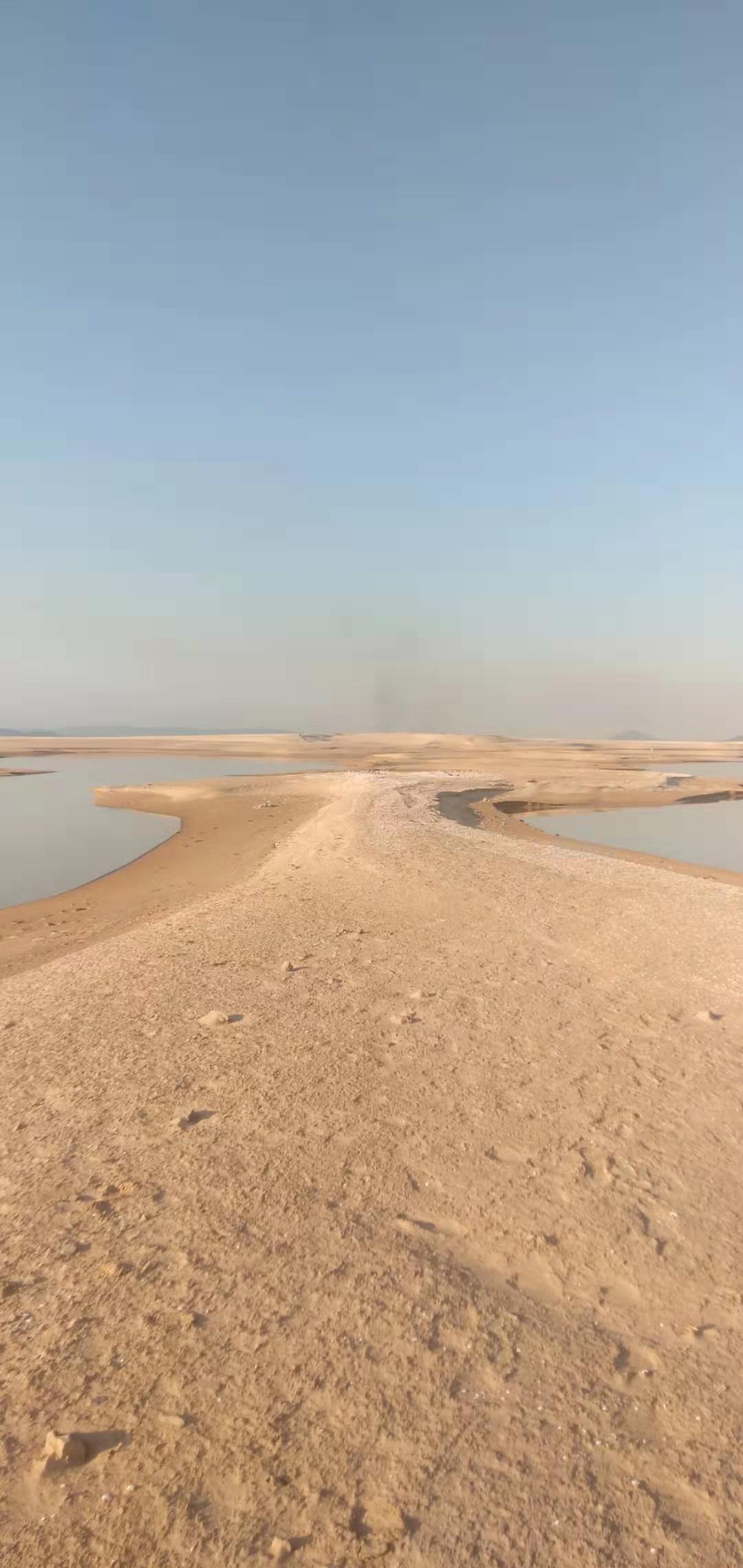 江西鄱阳湖沙漠图片