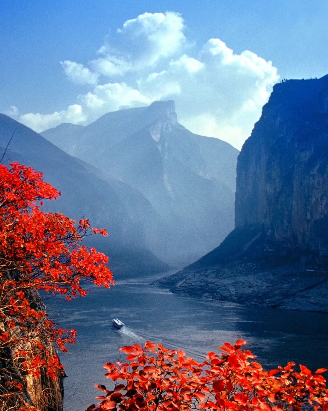 三峡夔门红叶最相思