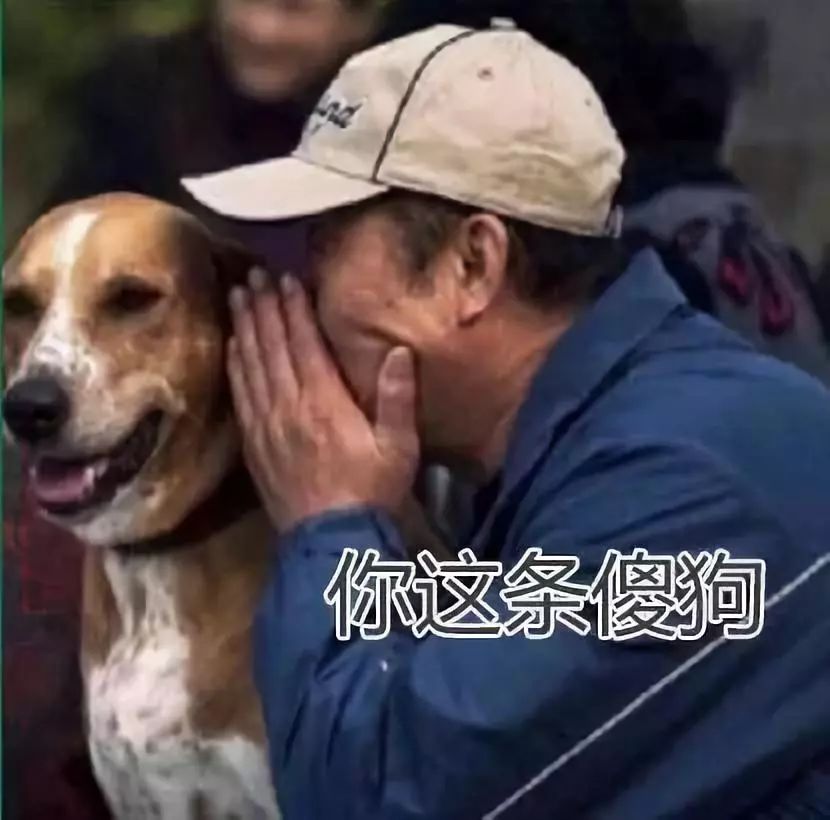 又一个发人深省的问题:汽车越贵越安全?