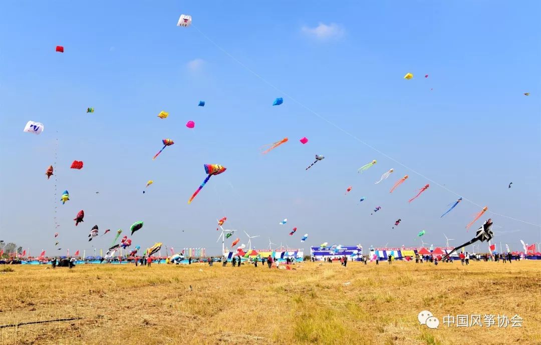 五湖四海如东再聚 南鹞北鸢精彩纷呈_风筝会