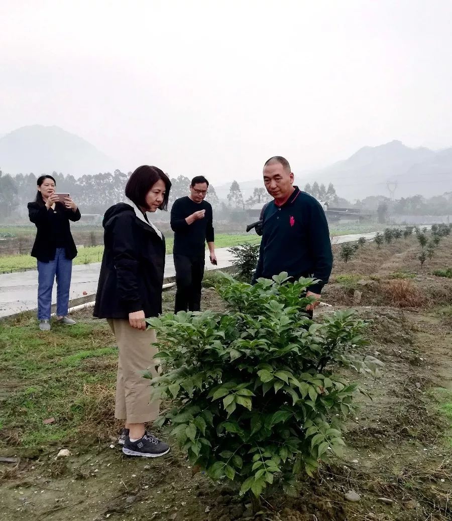 县人大主任龙庆革,人大副主任秦雪梅参加调研