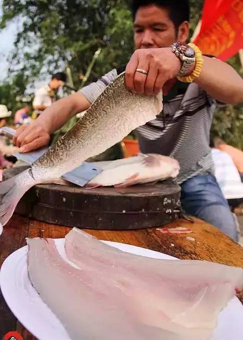 鱼头,鱼骨架用来煲粥与煲鱼汤整条鱼都不能浪费鱼身肉切下后去鱼皮