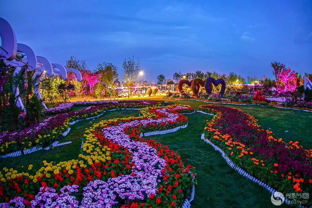 政府拿钱奖这些月季图片,最高的奖励1万元!_南阳市