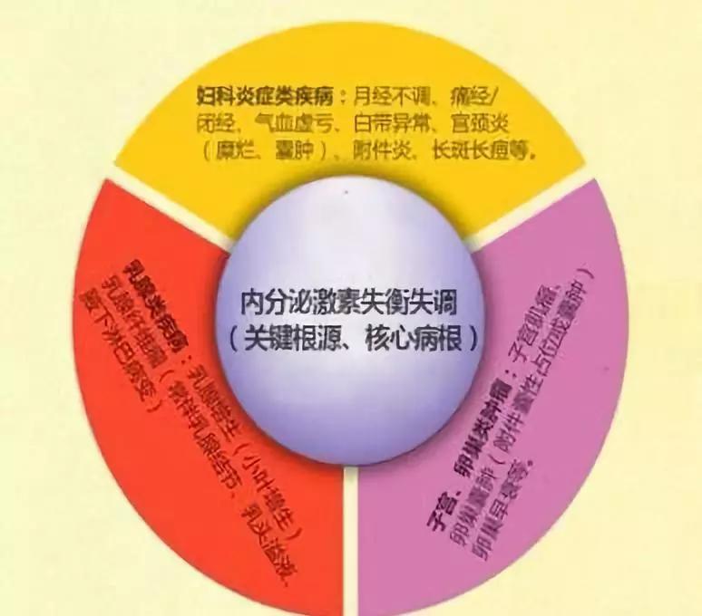▼⑥ 肥胖女性易患子宫内膜癌● 医学研究发现,肥胖女性易患子宫内膜