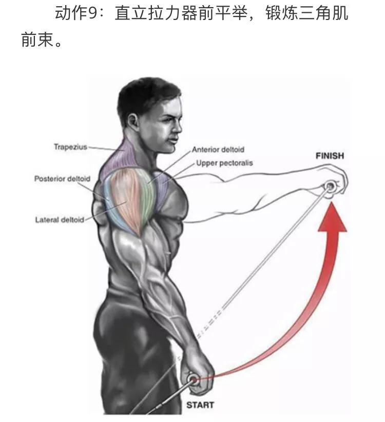9个经典肩膀训练动作图解让你的肩膀再宽5厘米