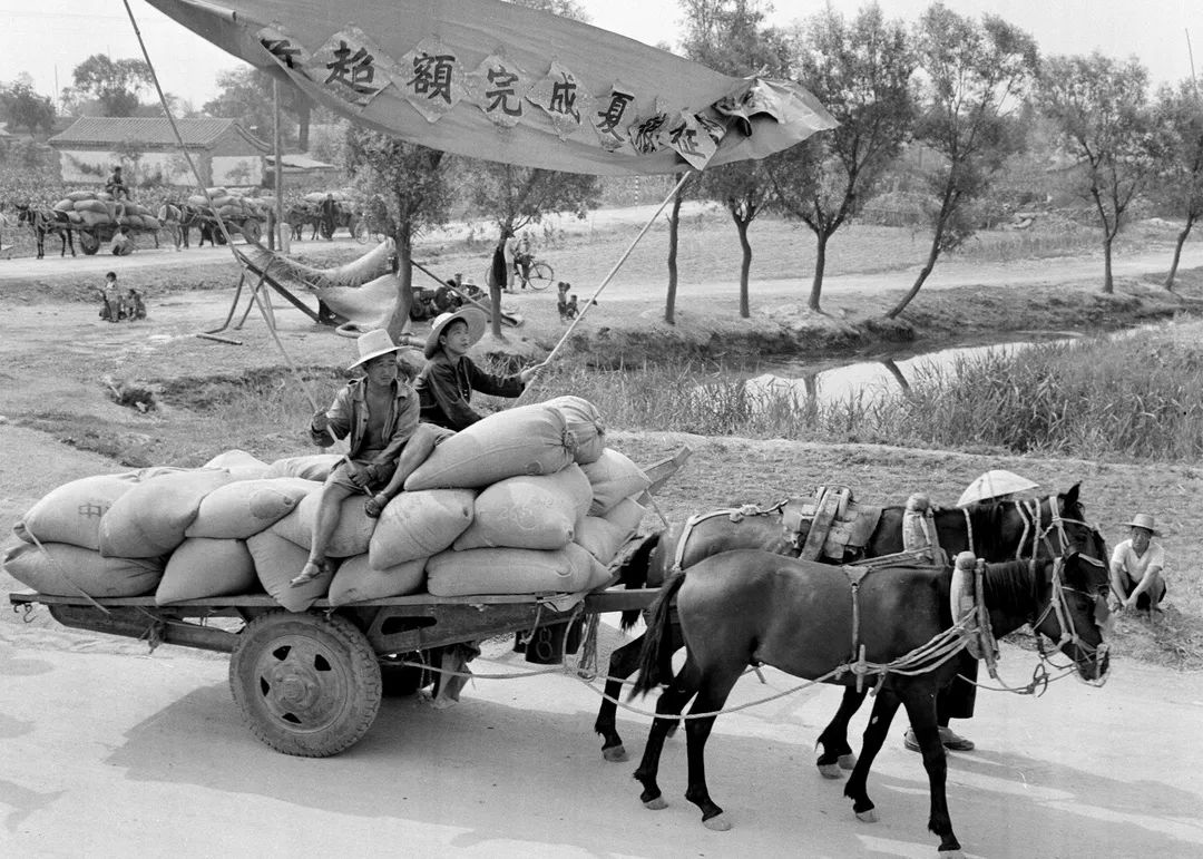 原创停交13年后多少人还记得交公粮的情形农民这辈子不会忘