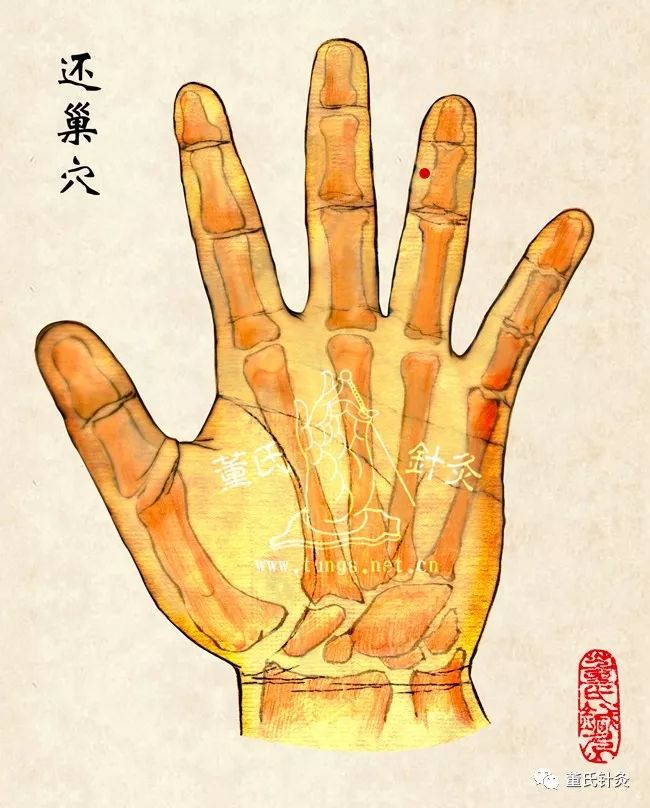 董氏针灸还巢穴