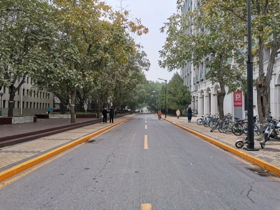 基层人大感恩有你一路同行