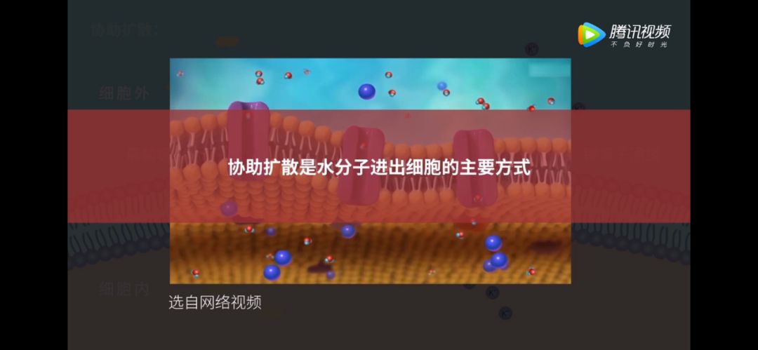 生物大师高中被动运输通道蛋白与诺贝尔奖