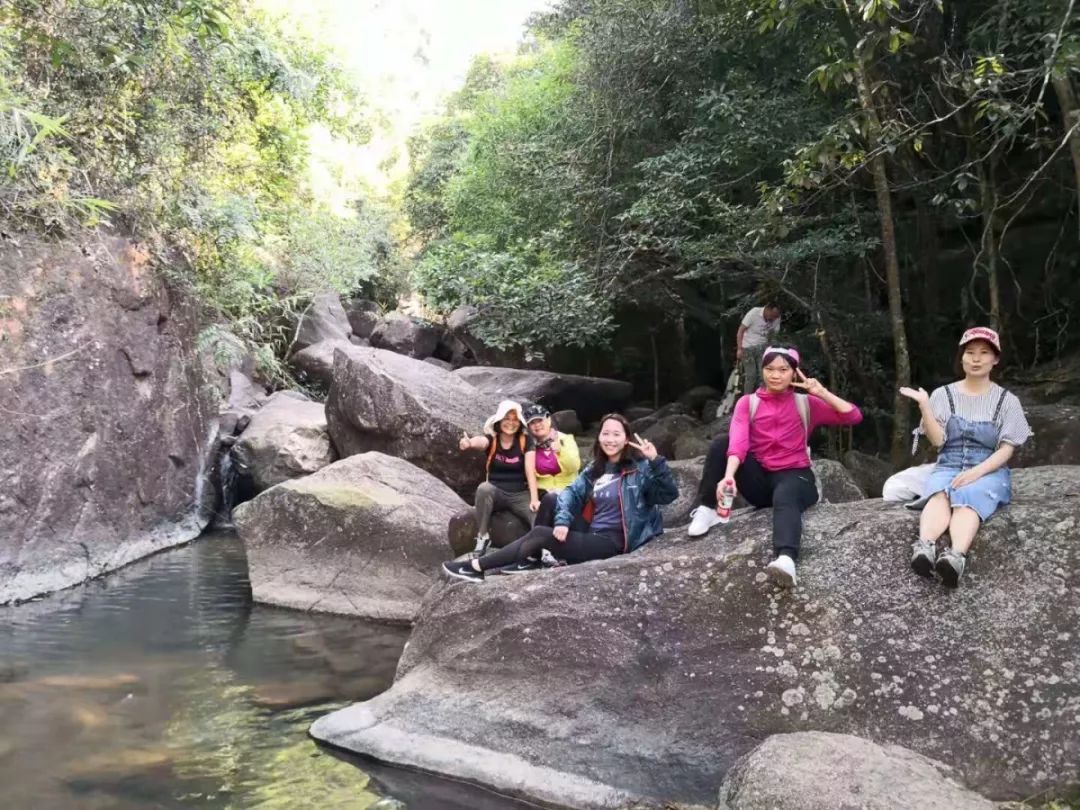 動態| 川大深圳校友會馬巒山徒步活動圓滿結束