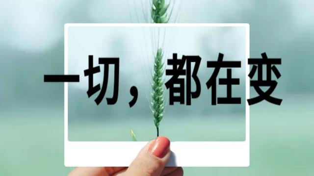 李菊老师社群笔记一切,都在变阴阳流转,四季变化,规律操控着一切往前