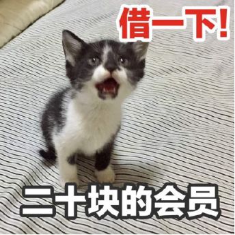 当代年轻人消费观:500元的口红买买买,20元的会员借借借!