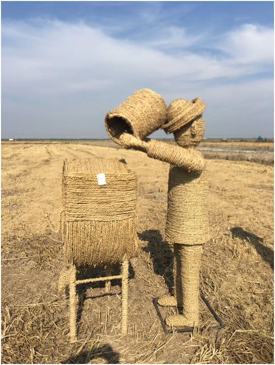 两只小猪喂鸡丰收粮仓再来一组稻草人艺术作品过瘾不?