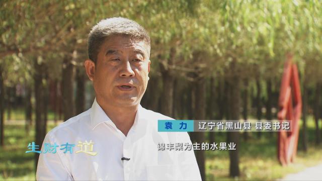 辽宁省黑山县县委书记袁力告诉记者,目前全县有水稻面积13.