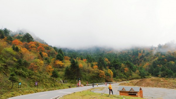 二郎山喇叭河景區千人徒步賞紅葉彩林