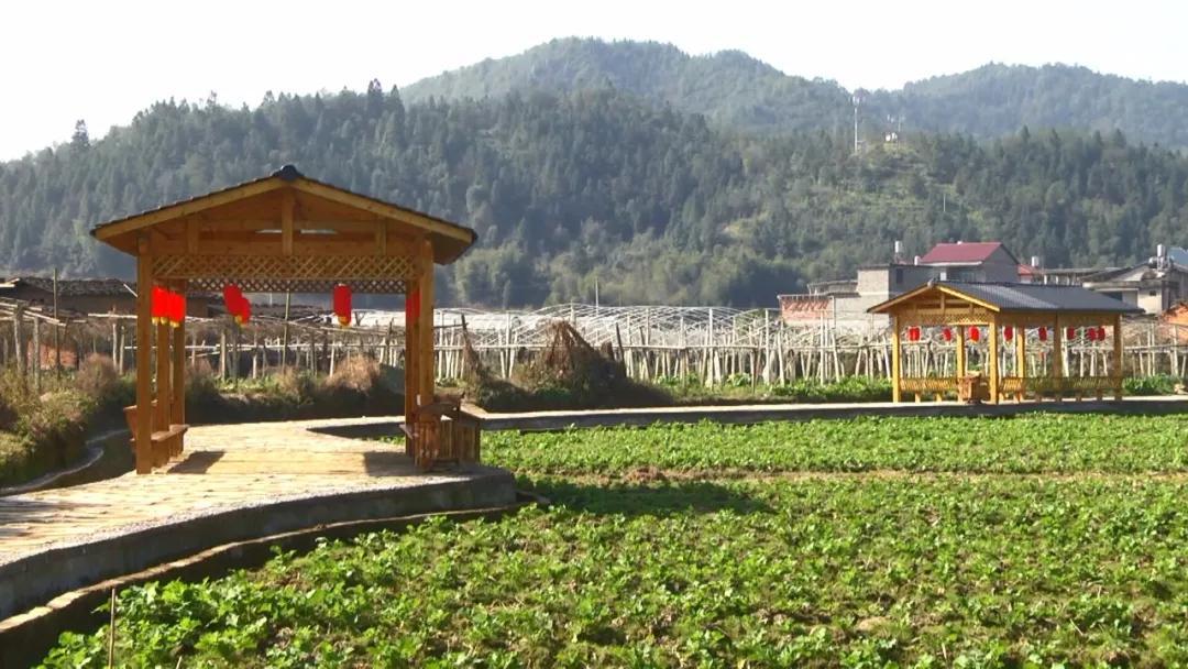 福建南平活力新水南筑造圆梦村