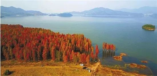 锦绣四明湖金秋欢乐跑