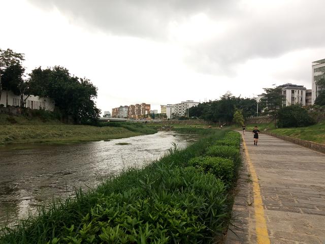 你有多久没来过深圳龙岗河了?带你到河边去走走啦