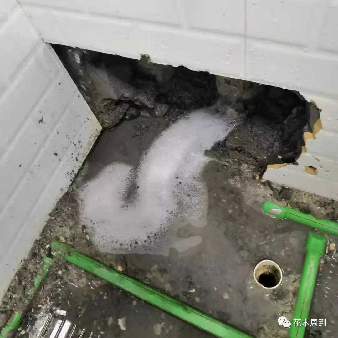 10月7日,在开发商,物业公司,装修公司都在场的情况下,卫生间墙砖从