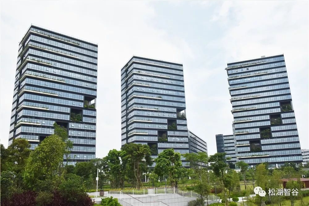 今日特讯湖北省法学会考察团莅临松湖智谷产业园参观考察