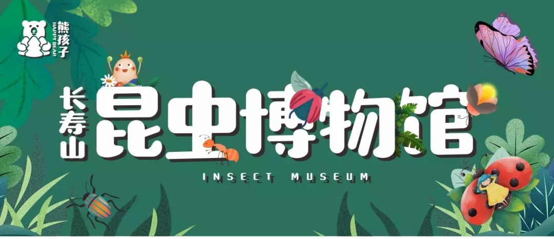 长寿山昆虫博物馆探索大自然的魅力
