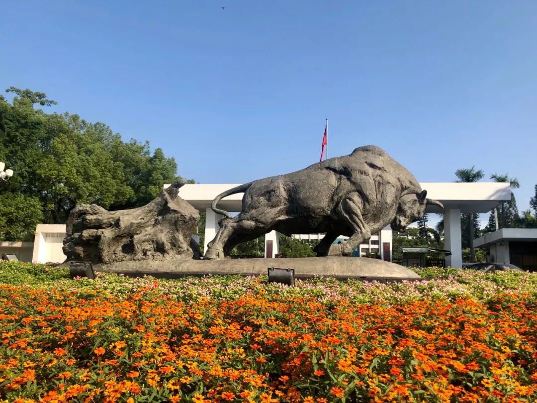 什么是深圳