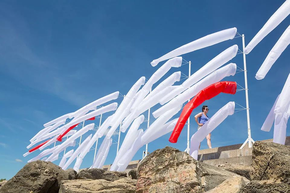 风动装置是风动还是心动