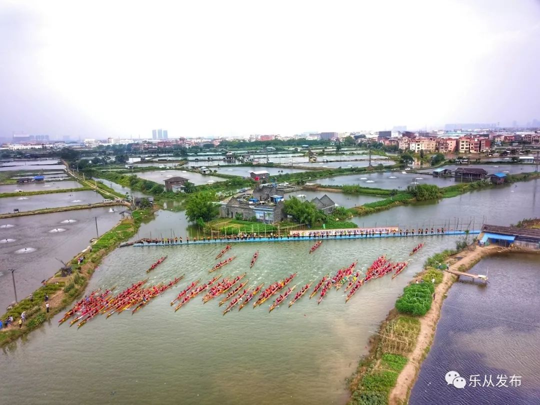 飞桨逐浪乐从镇水藤村五人龙舟邀请赛大片即将来袭