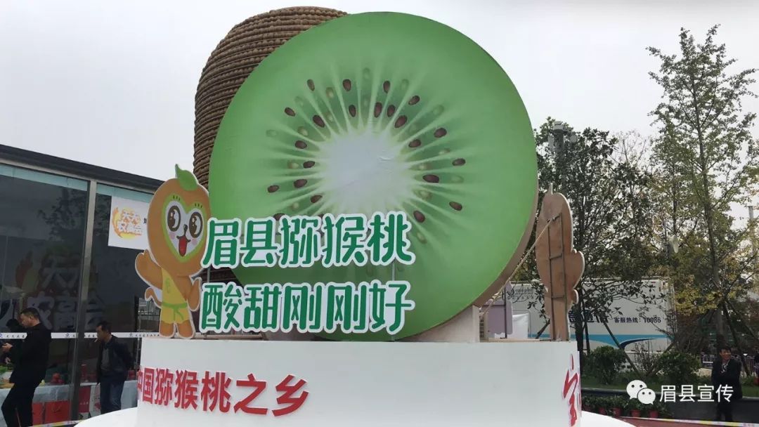 眉县猕猴桃品牌价值已达到9828亿元