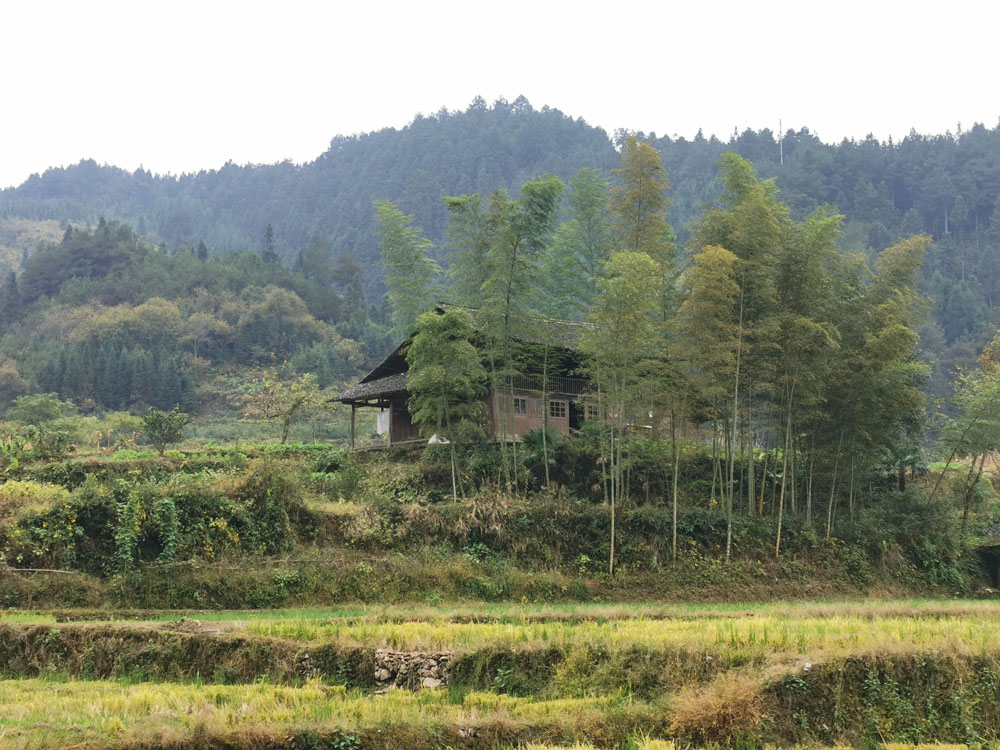 摩旅湘西單人單車翻越湖南第一大山雨霧中的雪峰山奇秀險峻