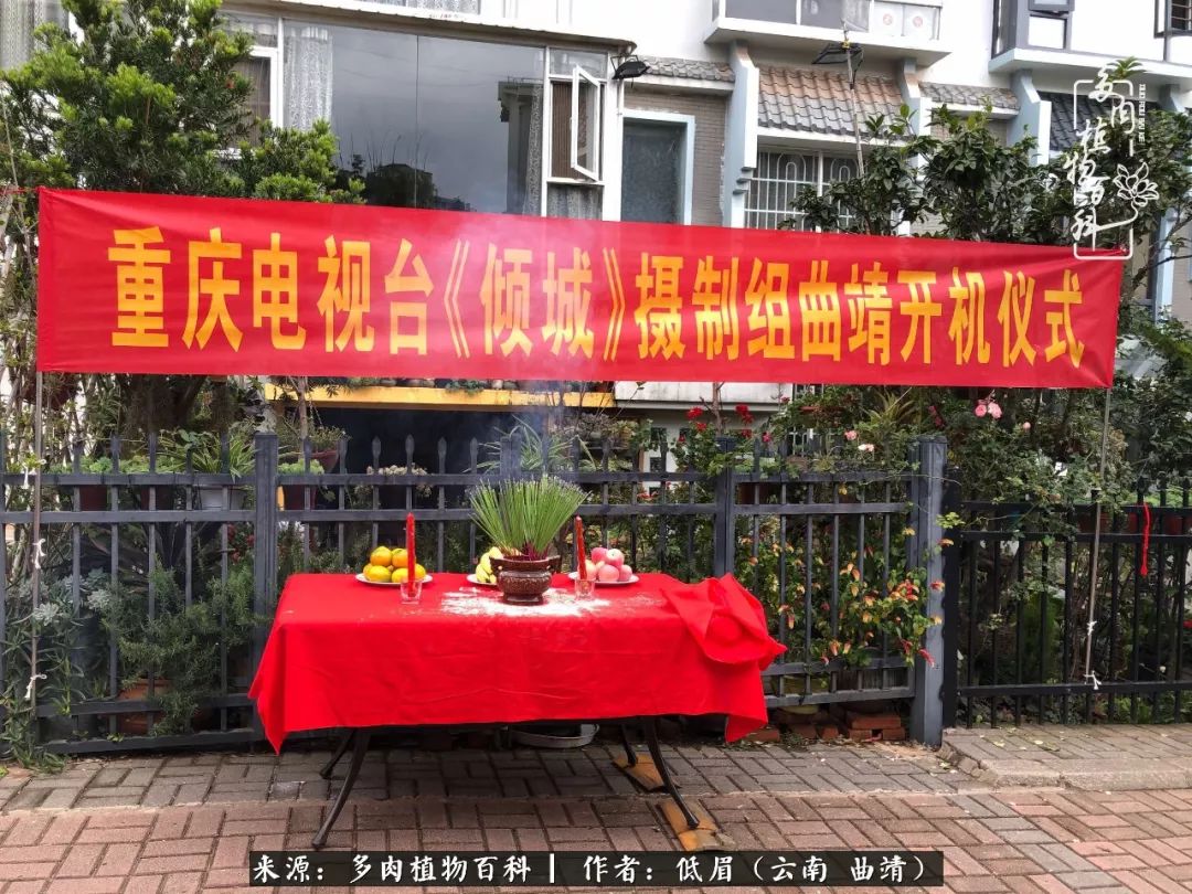 开机仪式圆满结束,也没看见苏君先生的扮演者,还真是神秘啊!